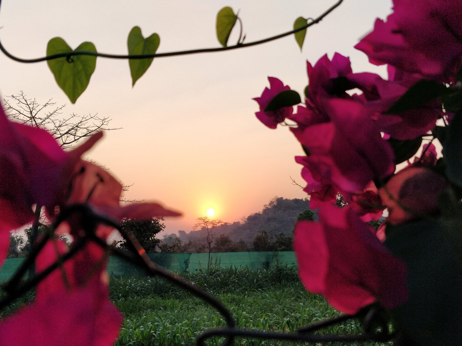 Wintry Mountain Landscape
