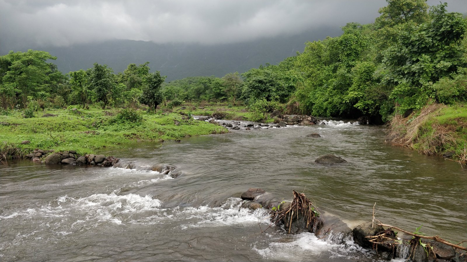 Mountains in the Clouds