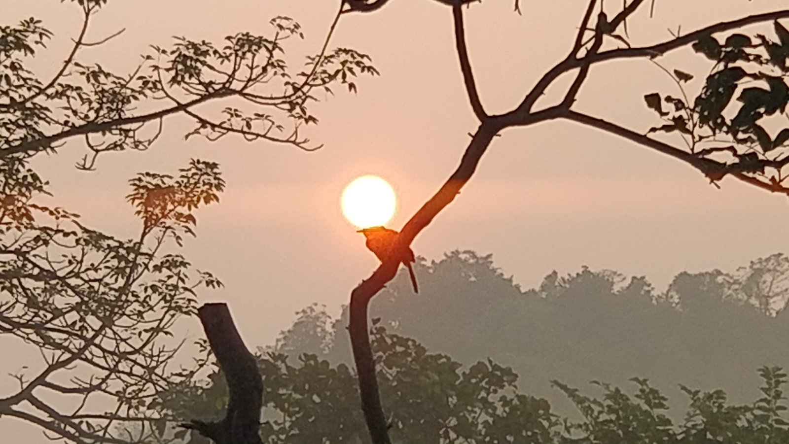 Yosemite National Park