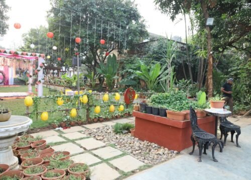 WhatsApp Image 2025-01-17 at 3.49.32 PM