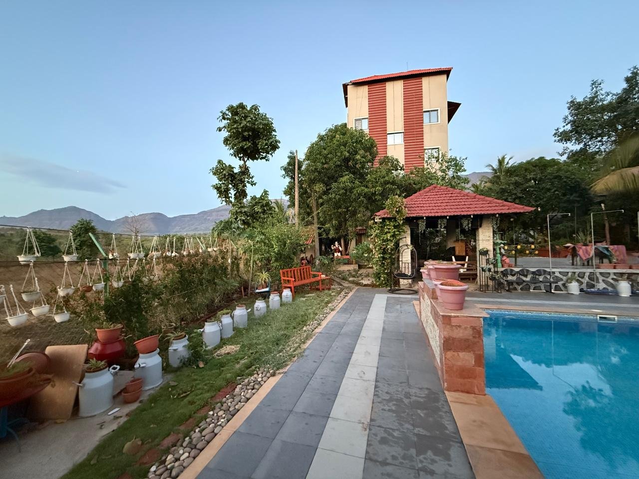 Nature's Morning Bliss